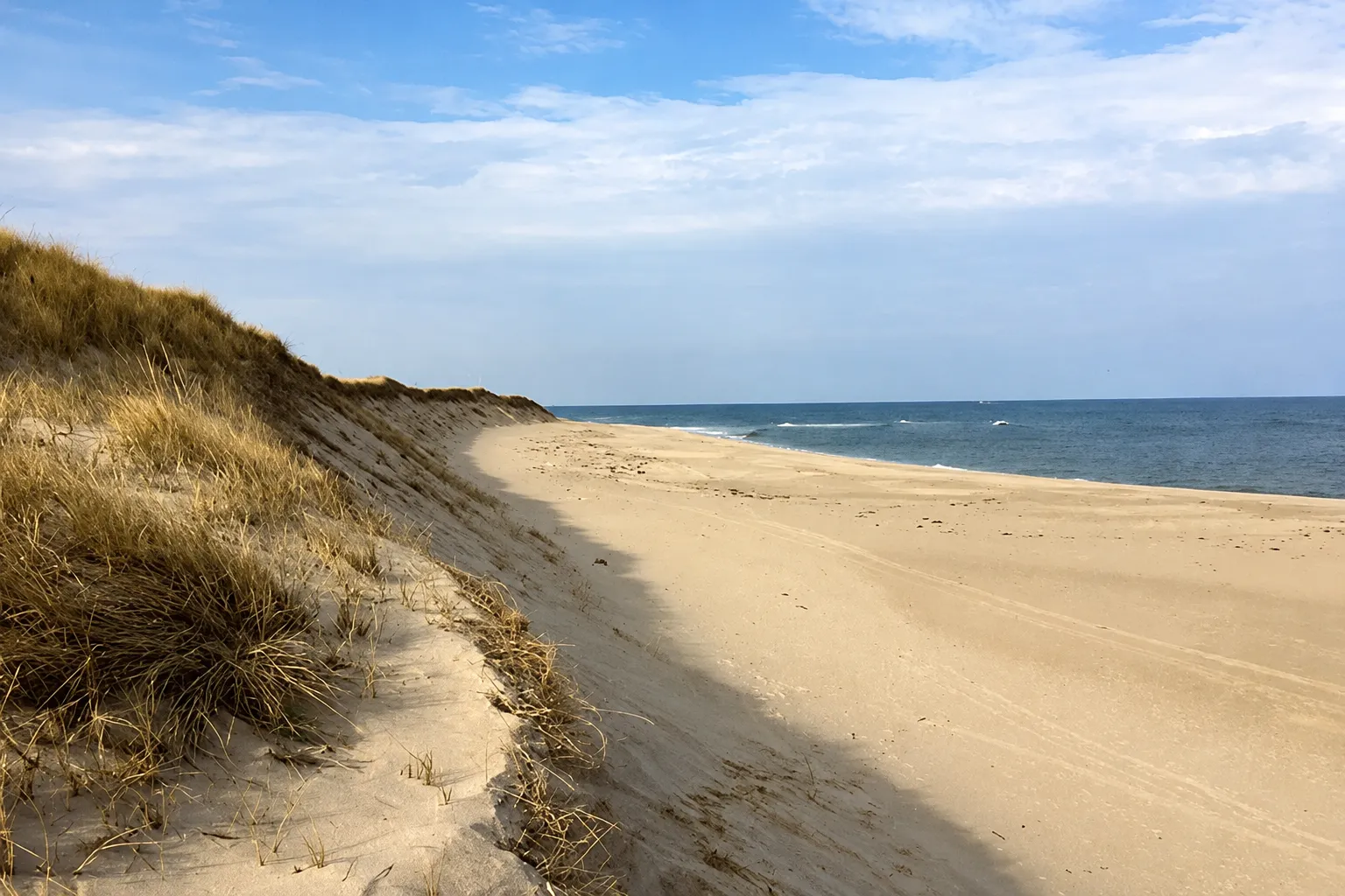 Dunes and open beach at Herring Cove